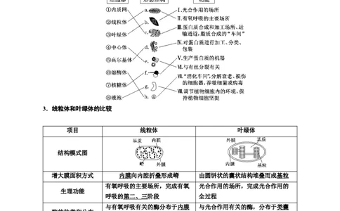 专题6细胞器和生物膜系统（原卷版)_2024年新高考资料_3.2024专项复习_备战2024年高考生物一轮复习重难点专项突破_专题06细胞器和生物膜系统-备战2024年高考生物一轮复习重难点专项突破