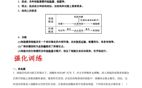专题6细胞器和生物膜系统（原卷版)_2024年新高考资料_3.2024专项复习_备战2024年高考生物一轮复习重难点专项突破_专题06细胞器和生物膜系统-备战2024年高考生物一轮复习重难点专项突破