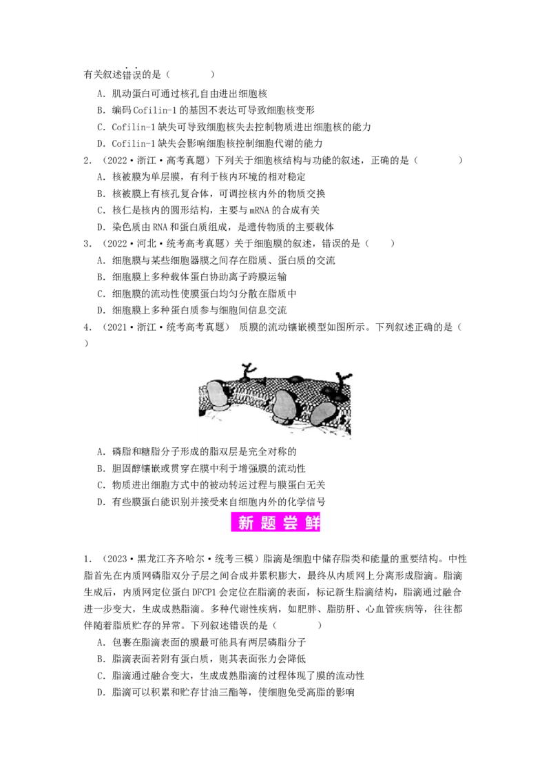 专题05细胞膜与细胞核（原卷版）_2024年新高考资料_1.2024一轮复习_备战2024年高考生物一轮复习抢分特训（全国通用）
