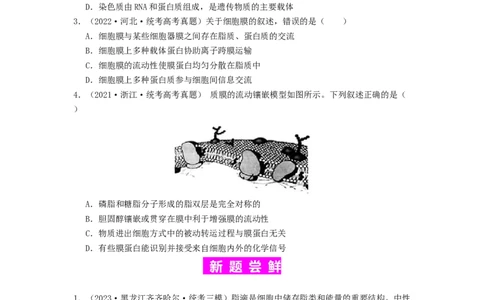 专题05细胞膜与细胞核（原卷版）_2024年新高考资料_1.2024一轮复习_备战2024年高考生物一轮复习抢分特训（全国通用）