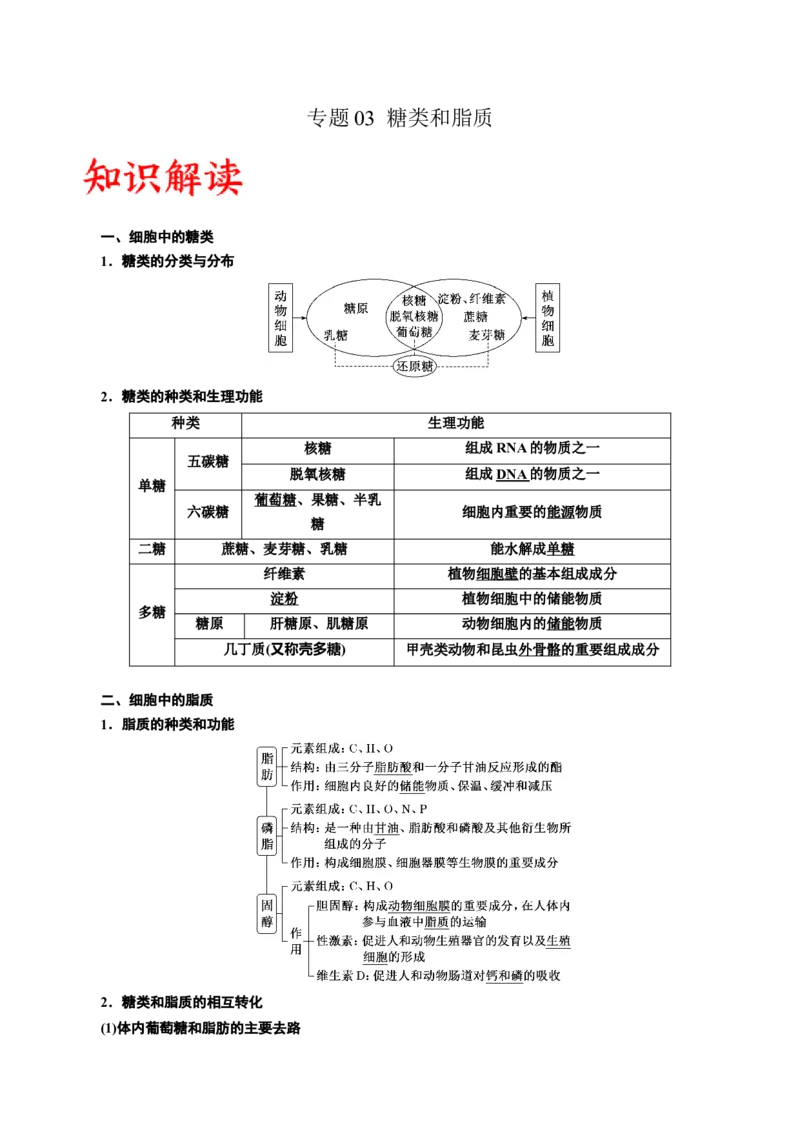 专题3糖类和脂质（解析版)_2024年新高考资料_3.2024专项复习_备战2024年高考生物一轮复习重难点专项突破_专题03糖类和脂质-备战2024年高考生物一轮复习重难点专项突破