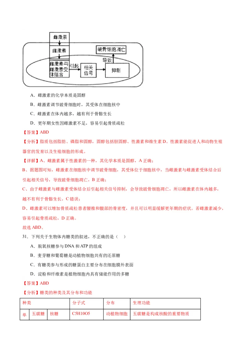 专题3糖类和脂质（解析版)_2024年新高考资料_3.2024专项复习_备战2024年高考生物一轮复习重难点专项突破_专题03糖类和脂质-备战2024年高考生物一轮复习重难点专项突破