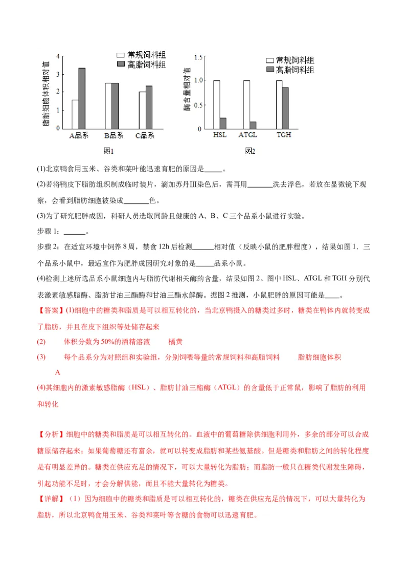 专题3糖类和脂质（解析版)_2024年新高考资料_3.2024专项复习_备战2024年高考生物一轮复习重难点专项突破_专题03糖类和脂质-备战2024年高考生物一轮复习重难点专项突破