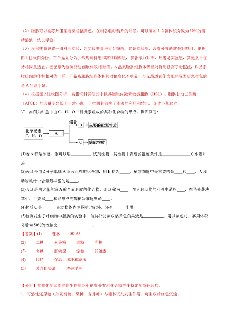 专题3糖类和脂质（解析版)_2024年新高考资料_3.2024专项复习_备战2024年高考生物一轮复习重难点专项突破_专题03糖类和脂质-备战2024年高考生物一轮复习重难点专项突破