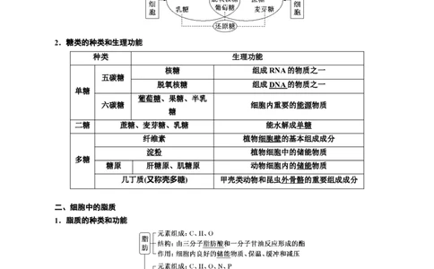 专题3糖类和脂质（解析版)_2024年新高考资料_3.2024专项复习_备战2024年高考生物一轮复习重难点专项突破_专题03糖类和脂质-备战2024年高考生物一轮复习重难点专项突破