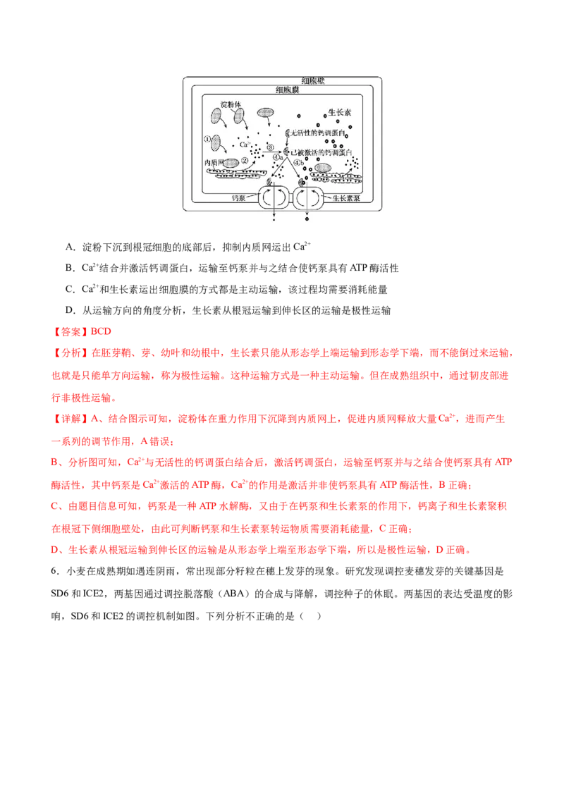 押新高考卷稳态与调节（解析版）-备战2024年高考生物临考题号押题（新高考通用）_2024年新高考资料_5.2024三轮冲刺_备战2024年高考生物临考题号押题（新高考通用）322745222