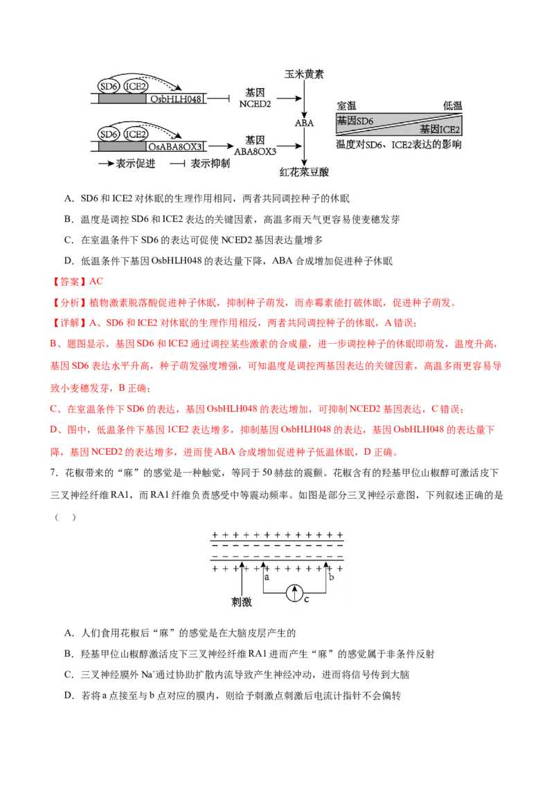押新高考卷稳态与调节（解析版）-备战2024年高考生物临考题号押题（新高考通用）_2024年新高考资料_5.2024三轮冲刺_备战2024年高考生物临考题号押题（新高考通用）322745222