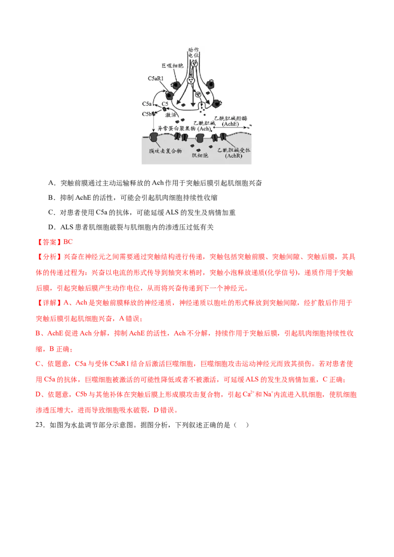 押新高考卷稳态与调节（解析版）-备战2024年高考生物临考题号押题（新高考通用）_2024年新高考资料_5.2024三轮冲刺_备战2024年高考生物临考题号押题（新高考通用）322745222