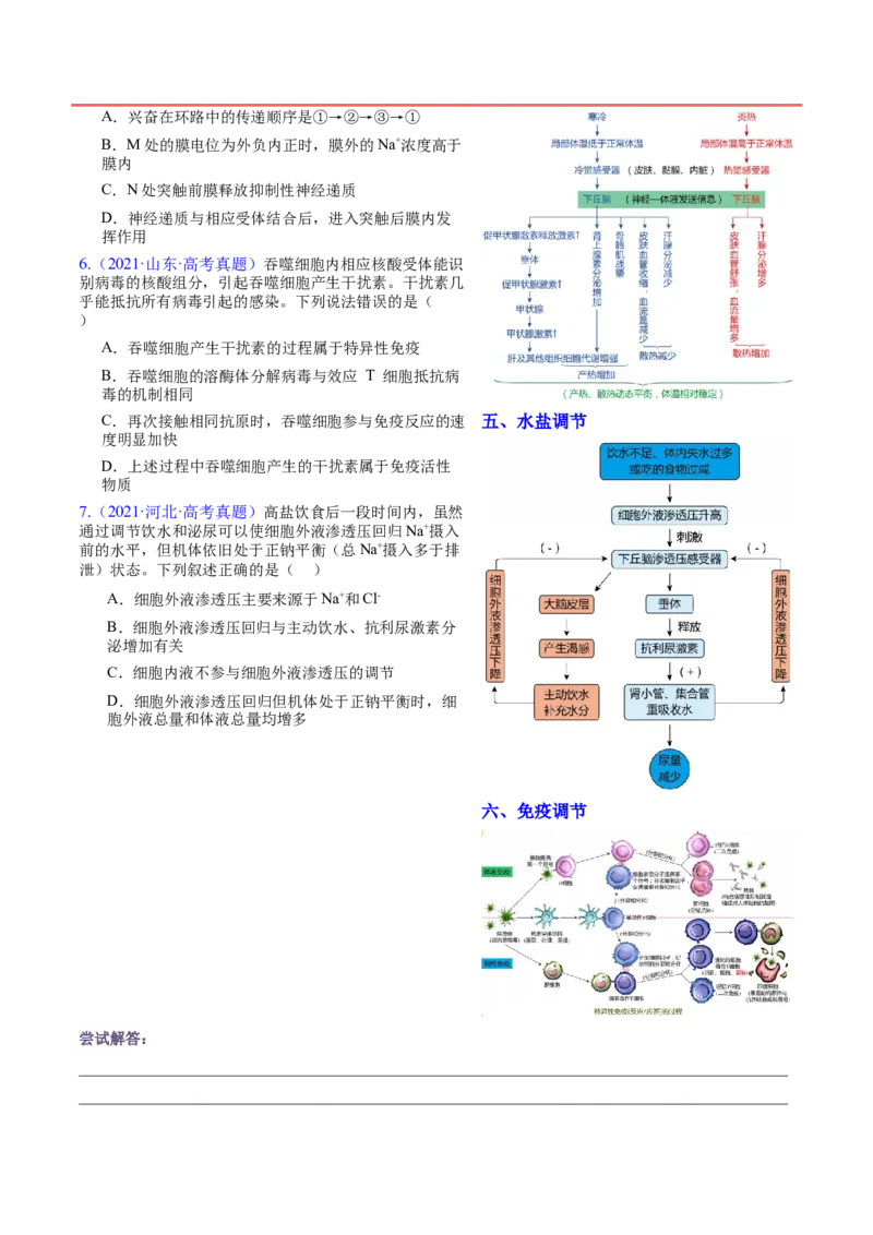 押新高考卷稳态与调节（解析版）-备战2024年高考生物临考题号押题（新高考通用）_2024年新高考资料_5.2024三轮冲刺_备战2024年高考生物临考题号押题（新高考通用）322745222