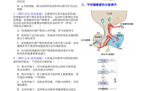 押新高考卷稳态与调节（解析版）-备战2024年高考生物临考题号押题（新高考通用）_2024年新高考资料_5.2024三轮冲刺_备战2024年高考生物临考题号押题（新高考通用）322745222