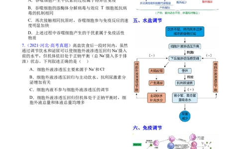 押新高考卷稳态与调节（解析版）-备战2024年高考生物临考题号押题（新高考通用）_2024年新高考资料_5.2024三轮冲刺_备战2024年高考生物临考题号押题（新高考通用）322745222