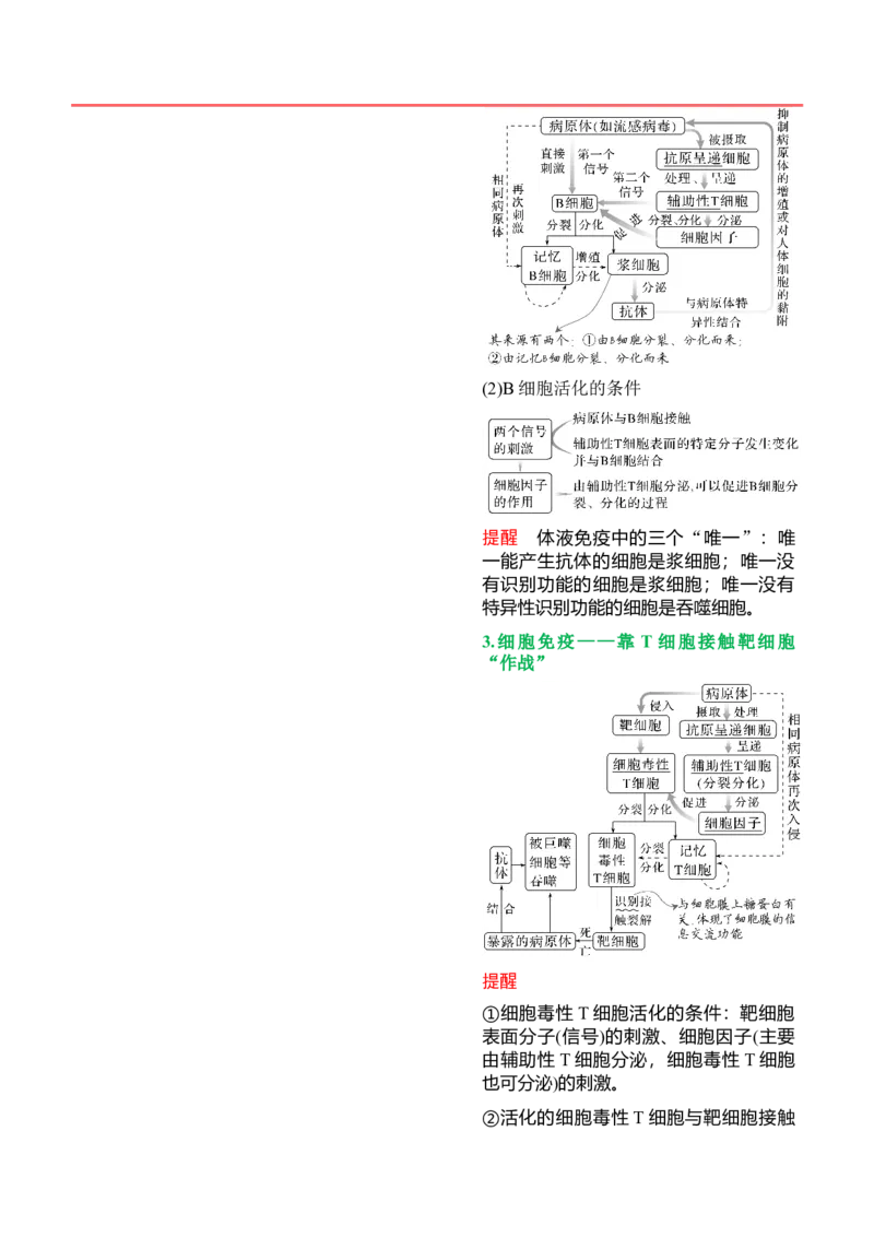 押新高考卷稳态与调节（解析版）-备战2024年高考生物临考题号押题（新高考通用）_2024年新高考资料_5.2024三轮冲刺_备战2024年高考生物临考题号押题（新高考通用）322745222_797