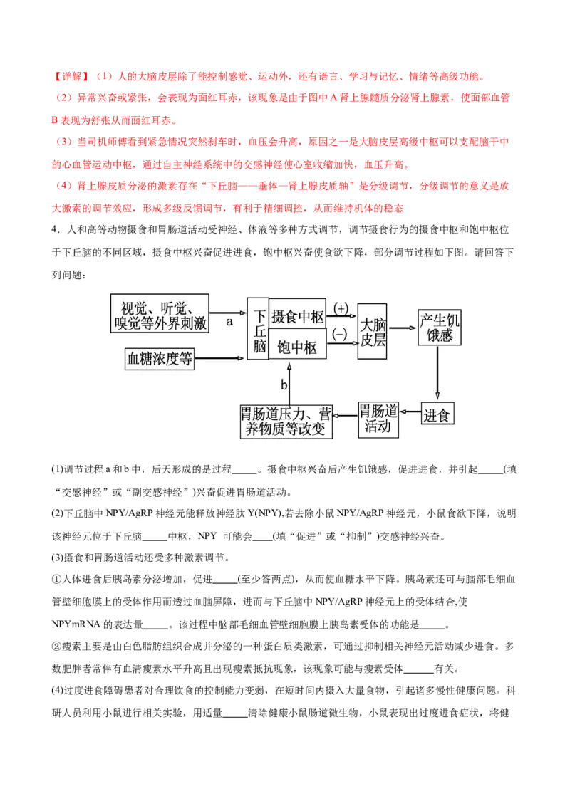 押新高考卷稳态与调节（解析版）-备战2024年高考生物临考题号押题（新高考通用）_2024年新高考资料_5.2024三轮冲刺_备战2024年高考生物临考题号押题（新高考通用）322745222_797