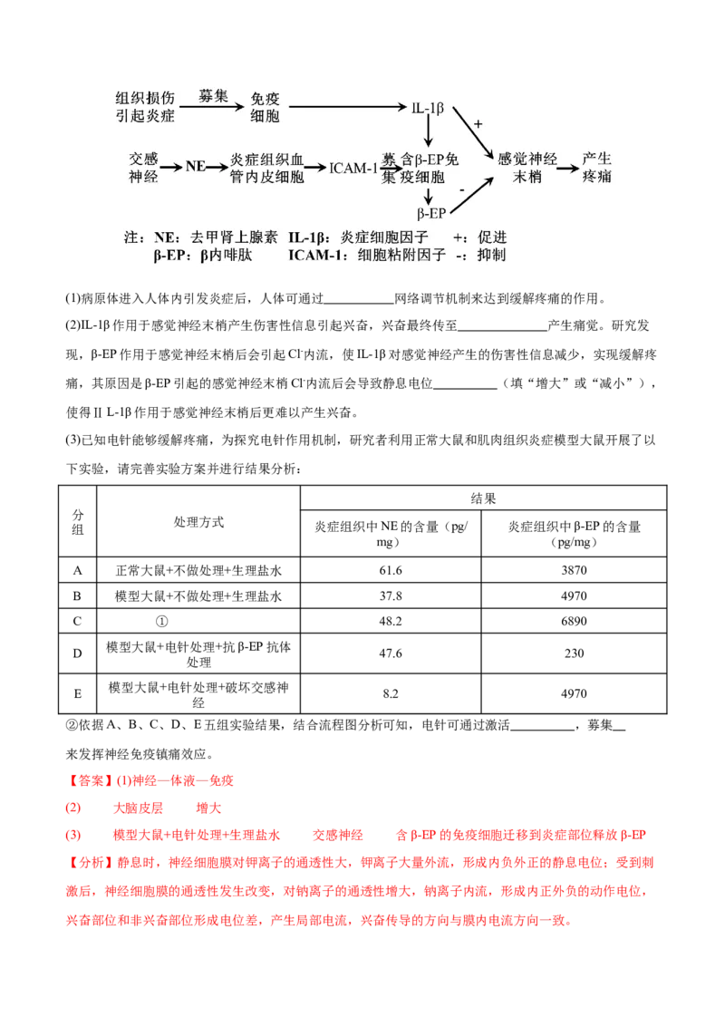 押新高考卷稳态与调节（解析版）-备战2024年高考生物临考题号押题（新高考通用）_2024年新高考资料_5.2024三轮冲刺_备战2024年高考生物临考题号押题（新高考通用）322745222_797