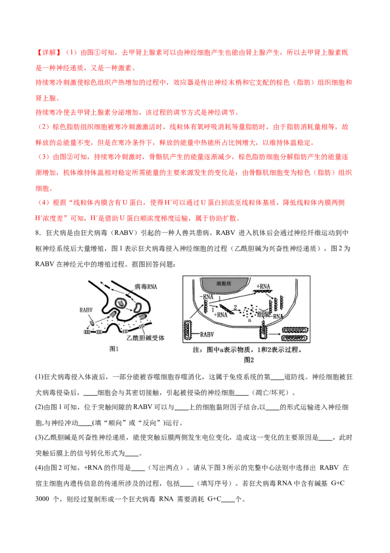 押新高考卷稳态与调节（解析版）-备战2024年高考生物临考题号押题（新高考通用）_2024年新高考资料_5.2024三轮冲刺_备战2024年高考生物临考题号押题（新高考通用）322745222_797