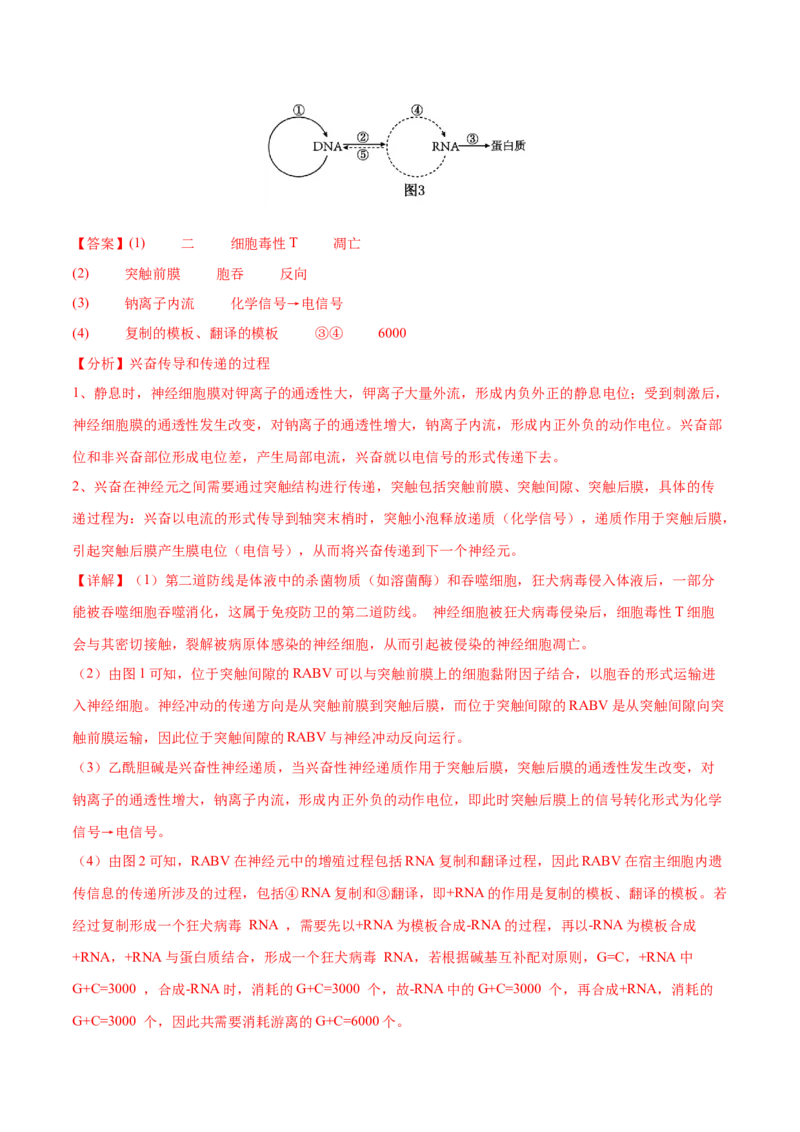 押新高考卷稳态与调节（解析版）-备战2024年高考生物临考题号押题（新高考通用）_2024年新高考资料_5.2024三轮冲刺_备战2024年高考生物临考题号押题（新高考通用）322745222_797