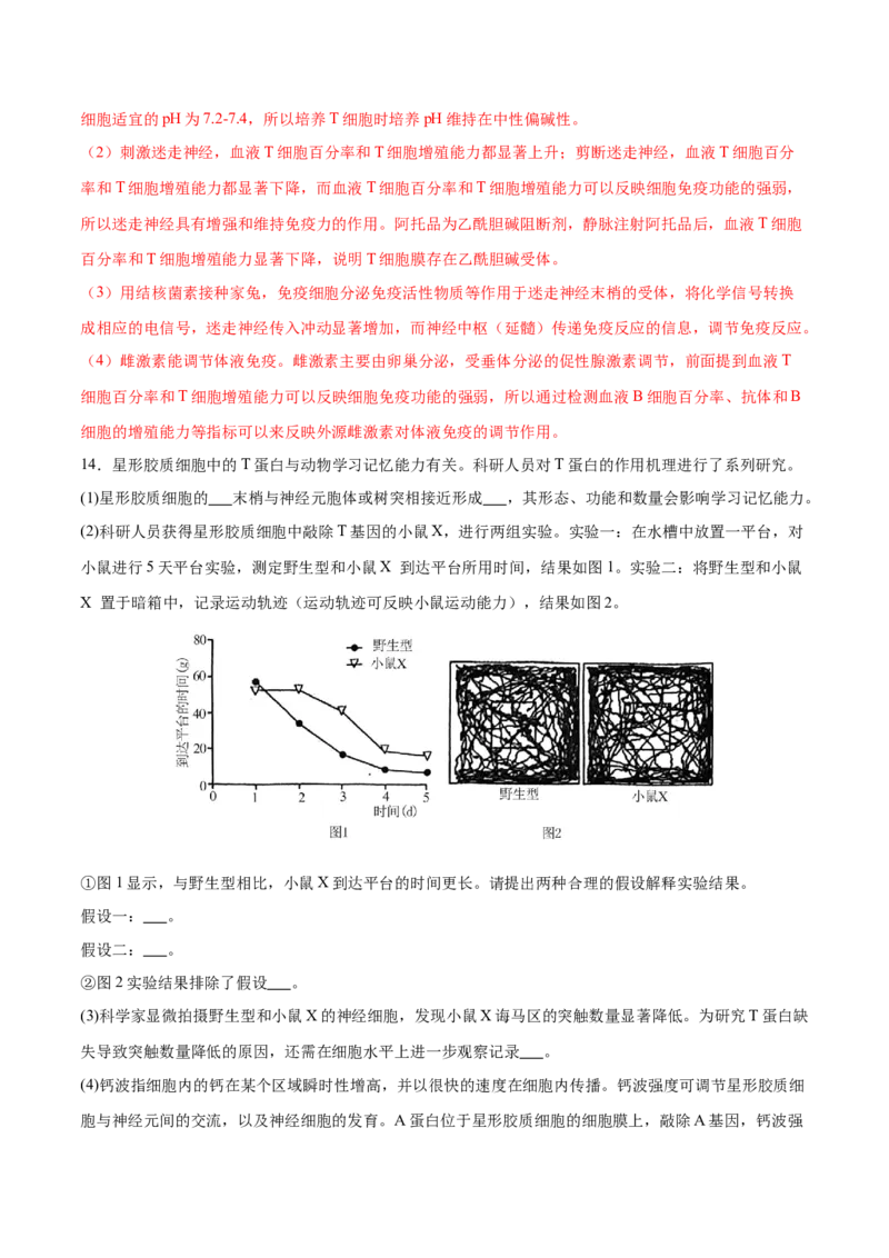 押新高考卷稳态与调节（解析版）-备战2024年高考生物临考题号押题（新高考通用）_2024年新高考资料_5.2024三轮冲刺_备战2024年高考生物临考题号押题（新高考通用）322745222_797
