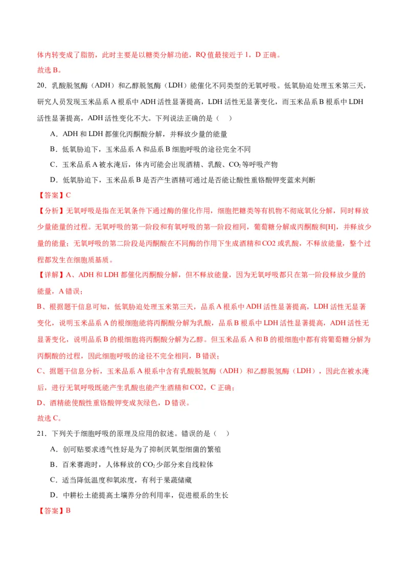 专题9细胞呼吸（解析版)_2024年新高考资料_3.2024专项复习_备战2024年高考生物一轮复习重难点专项突破_专题09细胞呼吸-备战2024年高考生物一轮复习重难点专项突破