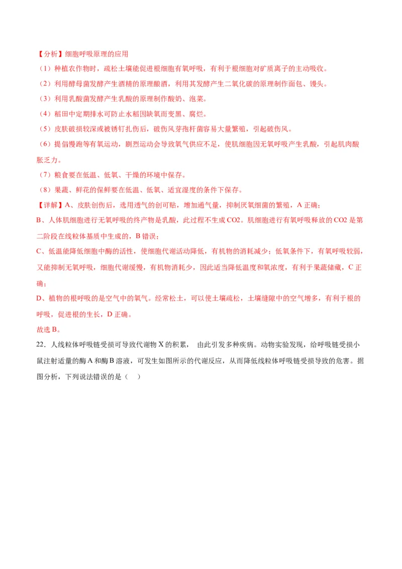 专题9细胞呼吸（解析版)_2024年新高考资料_3.2024专项复习_备战2024年高考生物一轮复习重难点专项突破_专题09细胞呼吸-备战2024年高考生物一轮复习重难点专项突破