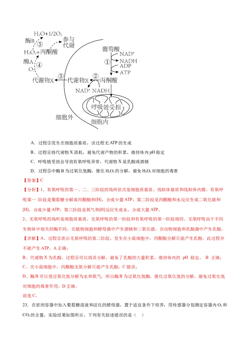 专题9细胞呼吸（解析版)_2024年新高考资料_3.2024专项复习_备战2024年高考生物一轮复习重难点专项突破_专题09细胞呼吸-备战2024年高考生物一轮复习重难点专项突破
