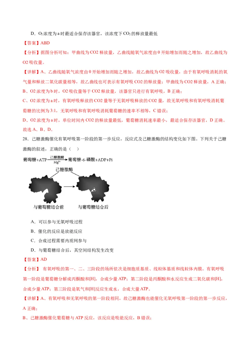 专题9细胞呼吸（解析版)_2024年新高考资料_3.2024专项复习_备战2024年高考生物一轮复习重难点专项突破_专题09细胞呼吸-备战2024年高考生物一轮复习重难点专项突破