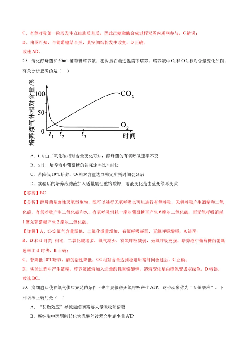 专题9细胞呼吸（解析版)_2024年新高考资料_3.2024专项复习_备战2024年高考生物一轮复习重难点专项突破_专题09细胞呼吸-备战2024年高考生物一轮复习重难点专项突破