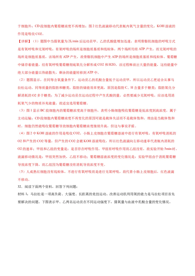 专题9细胞呼吸（解析版)_2024年新高考资料_3.2024专项复习_备战2024年高考生物一轮复习重难点专项突破_专题09细胞呼吸-备战2024年高考生物一轮复习重难点专项突破