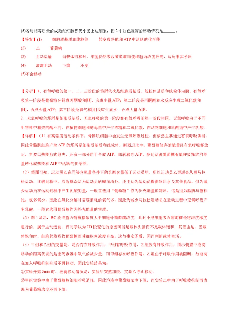 专题9细胞呼吸（解析版)_2024年新高考资料_3.2024专项复习_备战2024年高考生物一轮复习重难点专项突破_专题09细胞呼吸-备战2024年高考生物一轮复习重难点专项突破