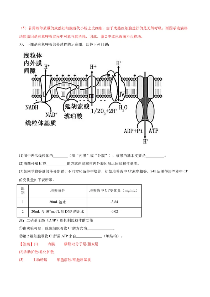 专题9细胞呼吸（解析版)_2024年新高考资料_3.2024专项复习_备战2024年高考生物一轮复习重难点专项突破_专题09细胞呼吸-备战2024年高考生物一轮复习重难点专项突破