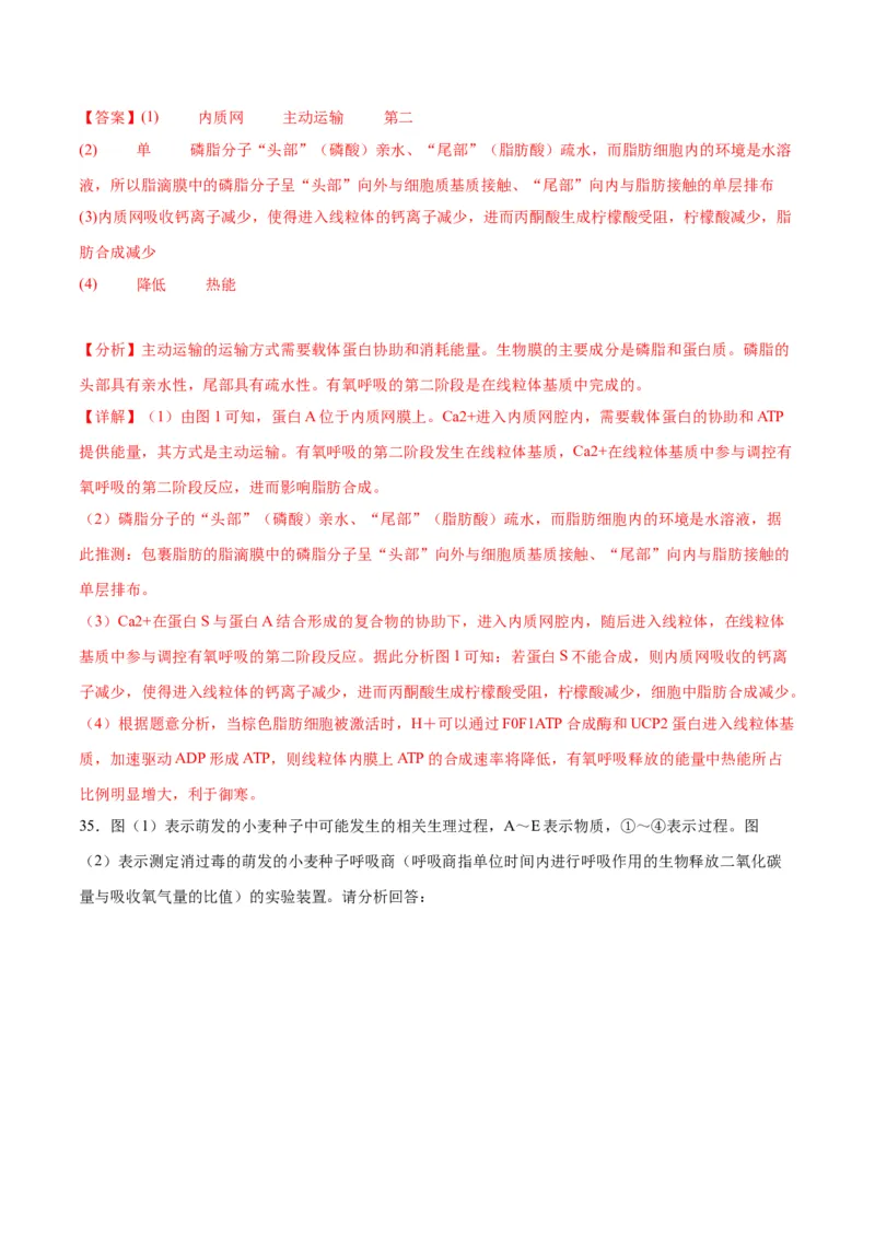 专题9细胞呼吸（解析版)_2024年新高考资料_3.2024专项复习_备战2024年高考生物一轮复习重难点专项突破_专题09细胞呼吸-备战2024年高考生物一轮复习重难点专项突破