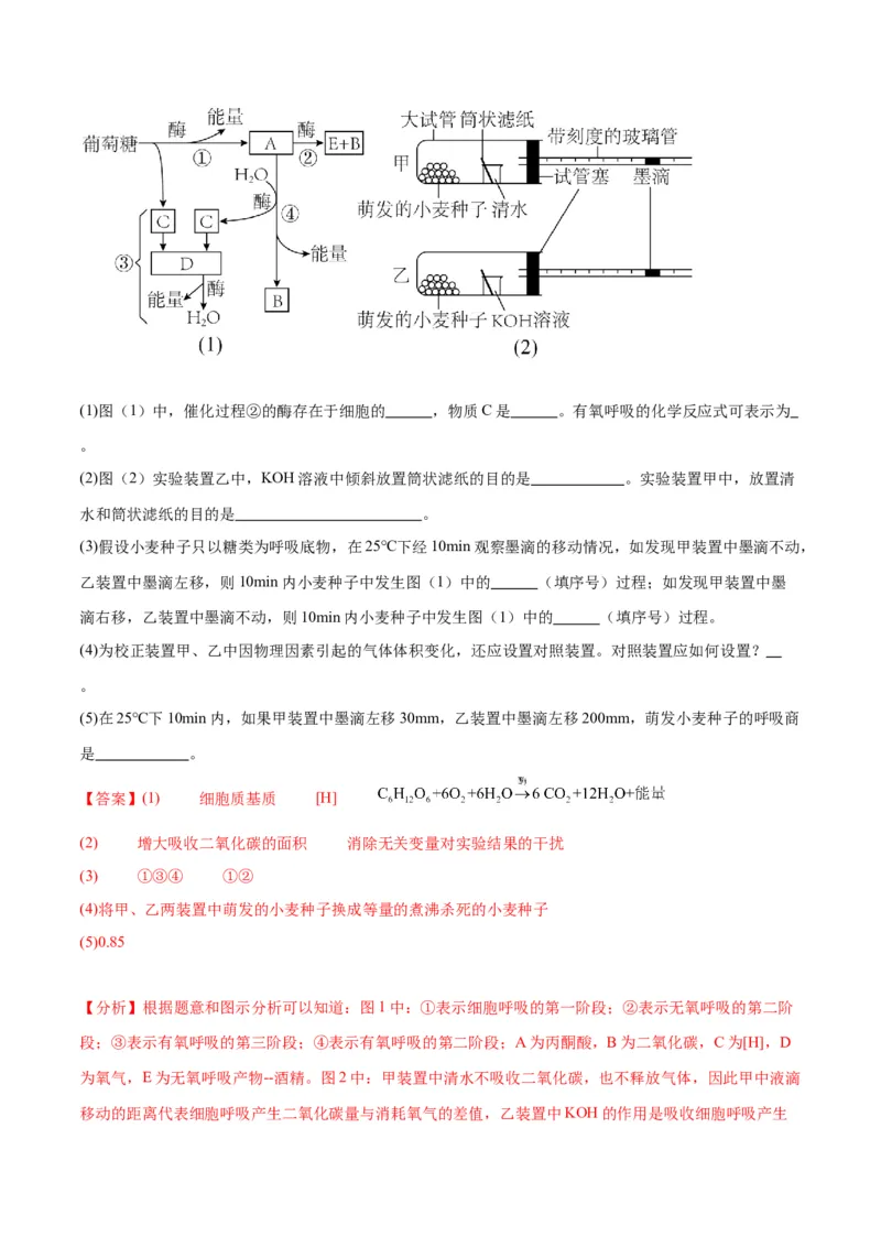 专题9细胞呼吸（解析版)_2024年新高考资料_3.2024专项复习_备战2024年高考生物一轮复习重难点专项突破_专题09细胞呼吸-备战2024年高考生物一轮复习重难点专项突破