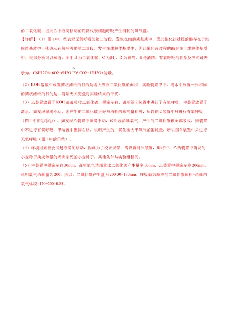 专题9细胞呼吸（解析版)_2024年新高考资料_3.2024专项复习_备战2024年高考生物一轮复习重难点专项突破_专题09细胞呼吸-备战2024年高考生物一轮复习重难点专项突破