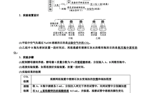 专题9细胞呼吸（解析版)_2024年新高考资料_3.2024专项复习_备战2024年高考生物一轮复习重难点专项突破_专题09细胞呼吸-备战2024年高考生物一轮复习重难点专项突破