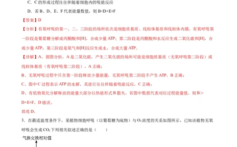专题9细胞呼吸（解析版)_2024年新高考资料_3.2024专项复习_备战2024年高考生物一轮复习重难点专项突破_专题09细胞呼吸-备战2024年高考生物一轮复习重难点专项突破