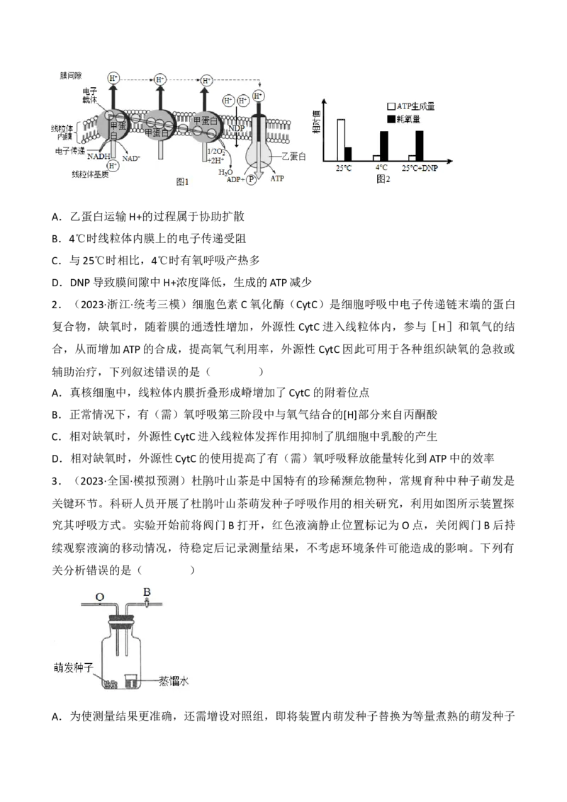 专题04细胞呼吸和光合作用（原卷版）_2024年新高考资料_3.2024专项复习_备战2024年高考生物一轮复习重难点突破讲解与训练（新教材）