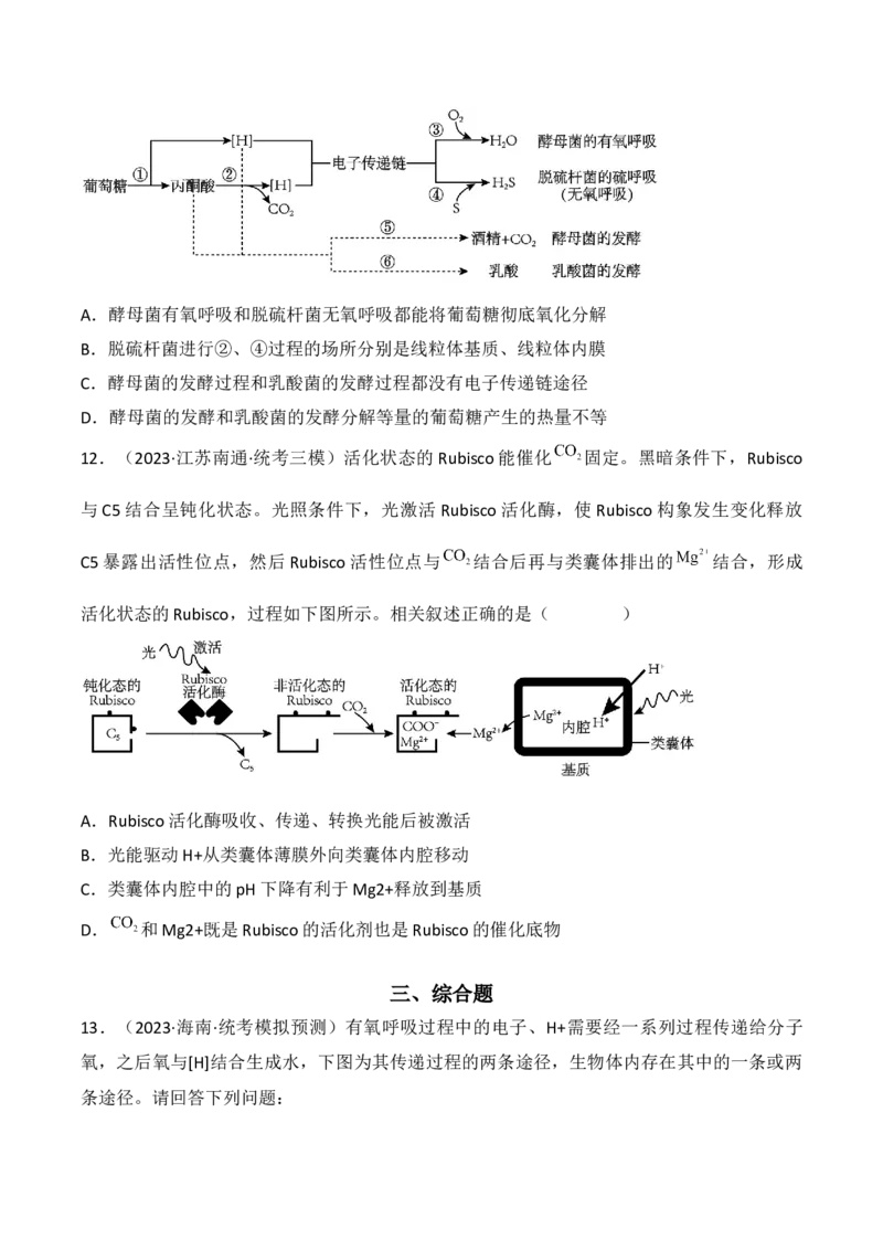 专题04细胞呼吸和光合作用（原卷版）_2024年新高考资料_3.2024专项复习_备战2024年高考生物一轮复习重难点突破讲解与训练（新教材）