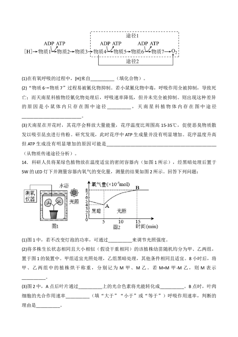 专题04细胞呼吸和光合作用（原卷版）_2024年新高考资料_3.2024专项复习_备战2024年高考生物一轮复习重难点突破讲解与训练（新教材）