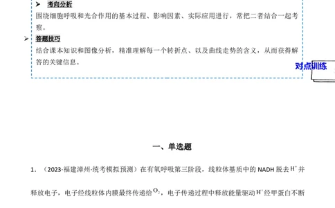 专题04细胞呼吸和光合作用（原卷版）_2024年新高考资料_3.2024专项复习_备战2024年高考生物一轮复习重难点突破讲解与训练（新教材）