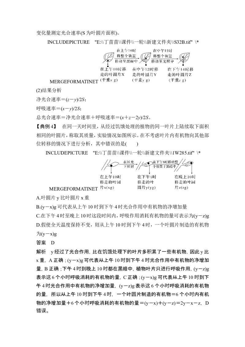 微专题4三率测定的6种实验模型_2024年新高考资料_1.2024一轮复习_2024年高考生物一轮复习讲义（新人教版）_另附1套Word版题库_必修1_第三单元细胞的能量供应和利用