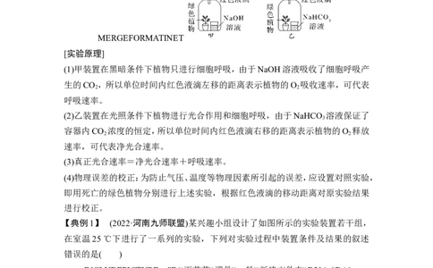 微专题4三率测定的6种实验模型_2024年新高考资料_1.2024一轮复习_2024年高考生物一轮复习讲义（新人教版）_另附1套Word版题库_必修1_第三单元细胞的能量供应和利用