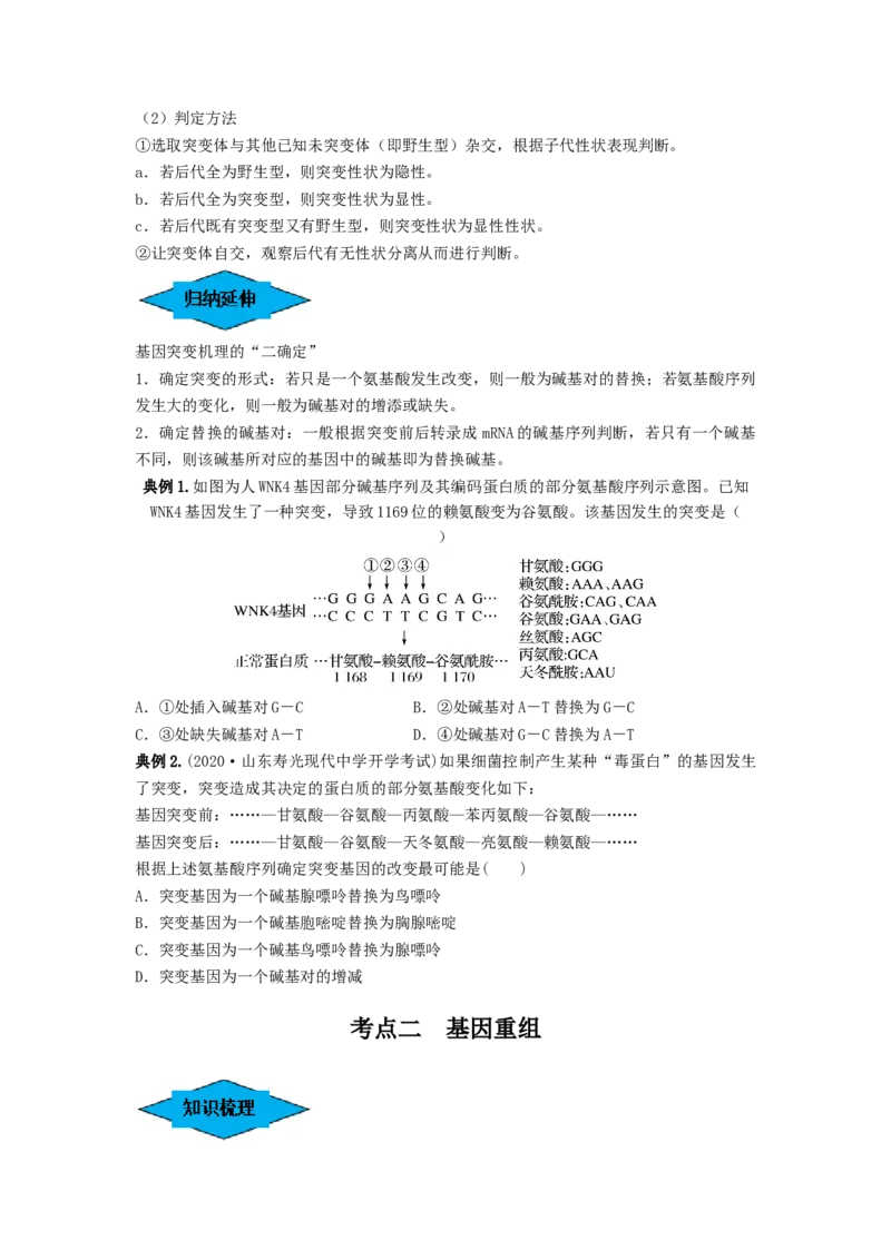 专题20基因突变和基因重组（串讲）（原卷版）_2024年新高考资料_1.2024一轮复习_备战2024年高考生物一轮复习串讲精练（新高考专用）