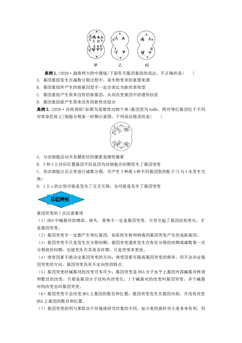 专题20基因突变和基因重组（串讲）（原卷版）_2024年新高考资料_1.2024一轮复习_备战2024年高考生物一轮复习串讲精练（新高考专用）