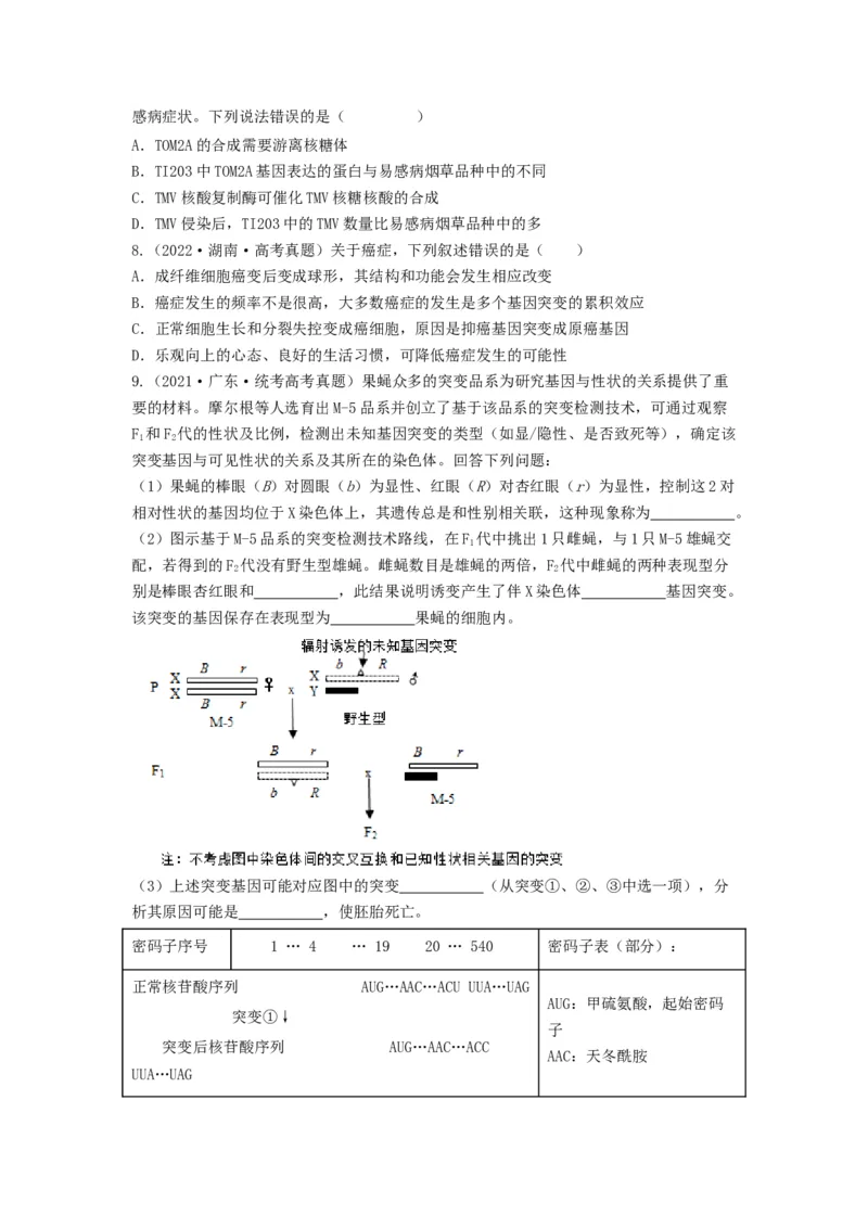 专题20基因突变和基因重组（串讲）（原卷版）_2024年新高考资料_1.2024一轮复习_备战2024年高考生物一轮复习串讲精练（新高考专用）
