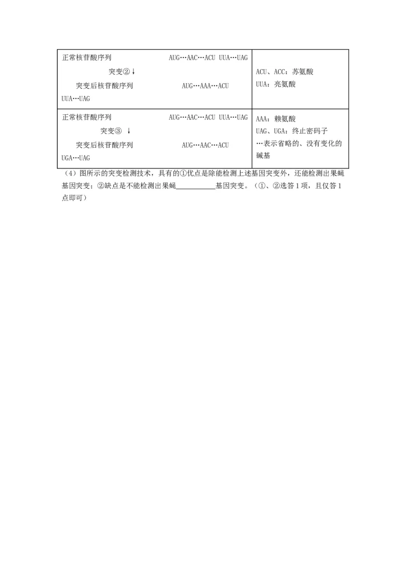 专题20基因突变和基因重组（串讲）（原卷版）_2024年新高考资料_1.2024一轮复习_备战2024年高考生物一轮复习串讲精练（新高考专用）