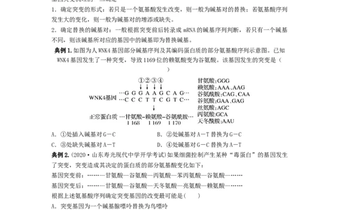专题20基因突变和基因重组（串讲）（原卷版）_2024年新高考资料_1.2024一轮复习_备战2024年高考生物一轮复习串讲精练（新高考专用）