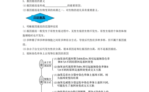 专题20基因突变和基因重组（串讲）（原卷版）_2024年新高考资料_1.2024一轮复习_备战2024年高考生物一轮复习串讲精练（新高考专用）