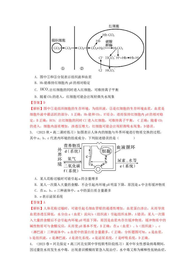 专题16内环境稳态和神经调节（解析版）_2024年新高考资料_1.2024一轮复习_备战2024年高考生物一轮复习抢分特训（全国通用）