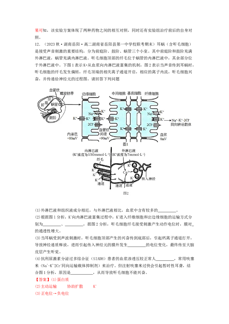 专题16内环境稳态和神经调节（解析版）_2024年新高考资料_1.2024一轮复习_备战2024年高考生物一轮复习抢分特训（全国通用）