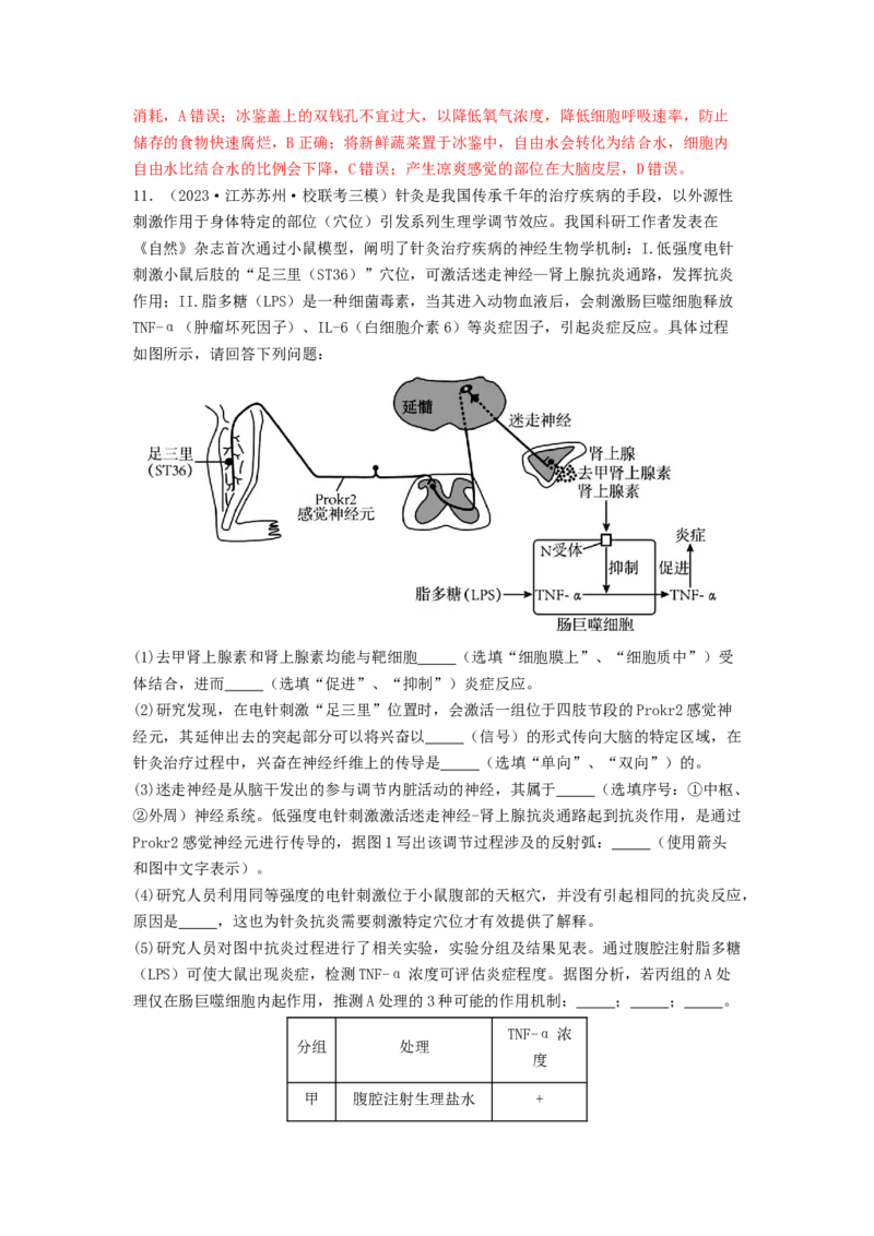 专题16内环境稳态和神经调节（解析版）_2024年新高考资料_1.2024一轮复习_备战2024年高考生物一轮复习抢分特训（全国通用）