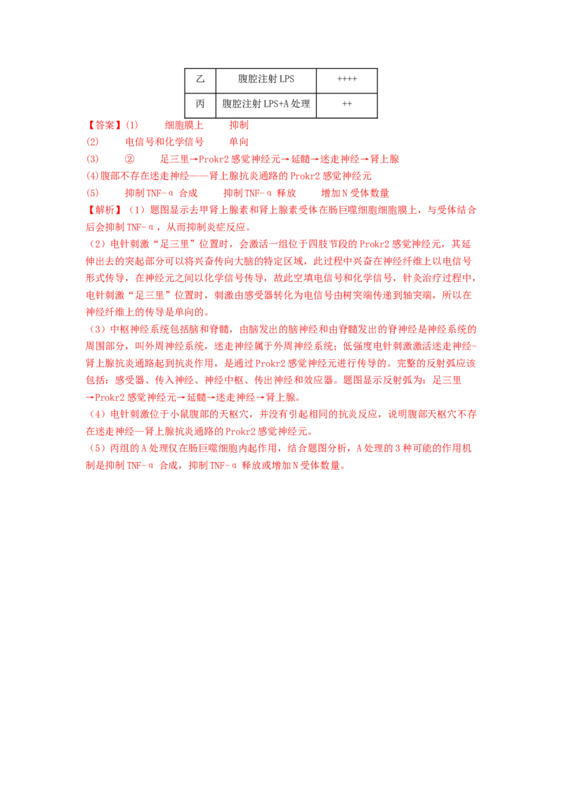 专题16内环境稳态和神经调节（解析版）_2024年新高考资料_1.2024一轮复习_备战2024年高考生物一轮复习抢分特训（全国通用）